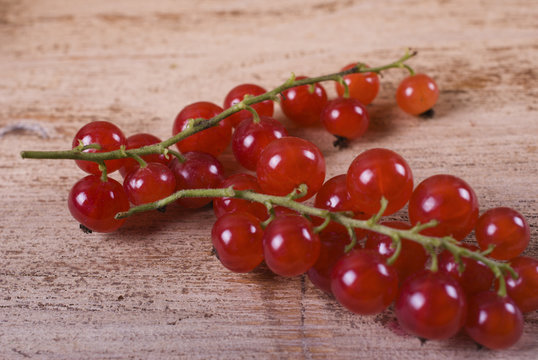 Berries of ripe red currant on wooden background