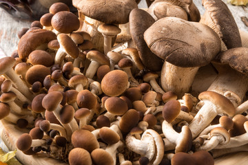 Misto di funghi freschi su un piatto tondo in legno su un tavolo 