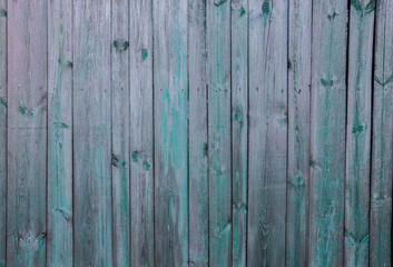 Fototapeta premium Old wooden fence Green