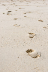 Way of human footprints on the beach sand