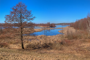Landscape of the river and the surrounding area in autumn