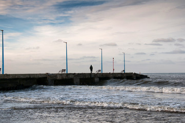 Coast of the Baltic Sea