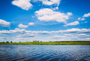 Obraz na płótnie Canvas River reeds shore sky water landscape