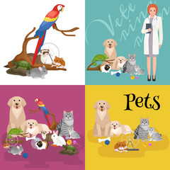 Group of pets and veterinary, doctor with animals patient