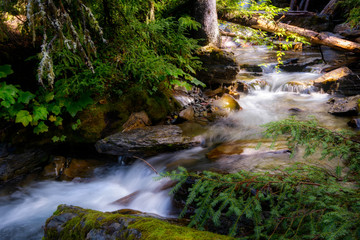 Fototapeta premium Holland Creek w słoneczny jesienny dzień