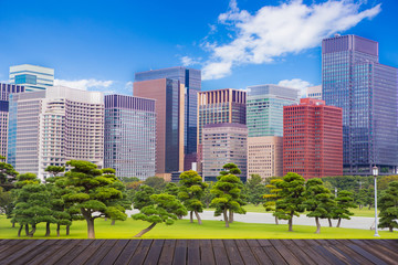 Obraz premium japan