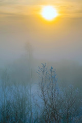 Obraz na płótnie Canvas Dawn in a fog