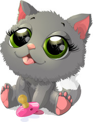 beautiful gray kitten