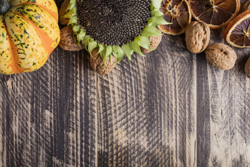 fall autumn thanksgiving concept background backdrop walnut pumpkin decoration