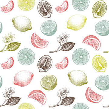 Seamless pattern with citrus fruits. Hand drawn illustration. Verctor.