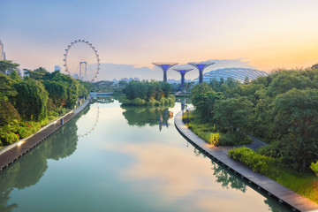 Panorama of Singapore gardens with pond at sunrise