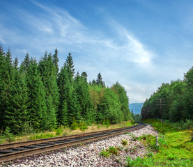 Obraz premium landscape railroad in summer forest day closeup