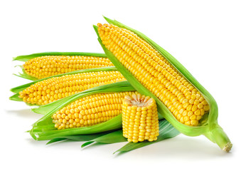 Corn isolated on white