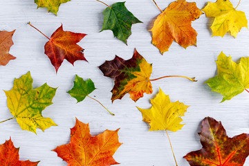 autumn leaves on white wooden table background