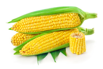 Corn isolated on white