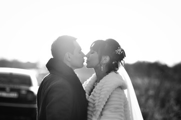 Kissing wedding couple on the backlight