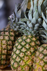Fototapeta premium Pineapples