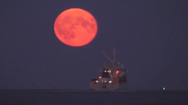 Vollmond &uuml;ber der Elbe, Supermond