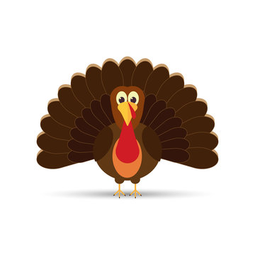 turkey flat icon.