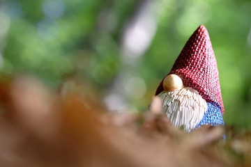 Wichtel im Wald