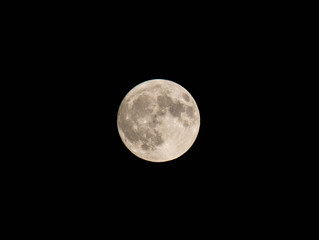 Gray moon
