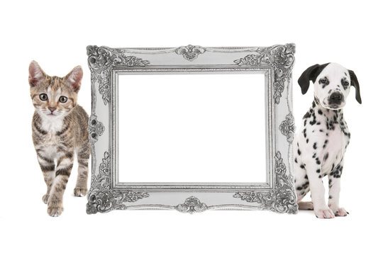 Silver Victorian Baroque Empty Picture Frame With A Tabby Cat And A Dalmatian Puppy On Each Side Of The Frame