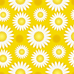 vector illustration of daisy yellow pattern