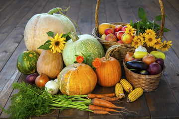 autumn pumpkins