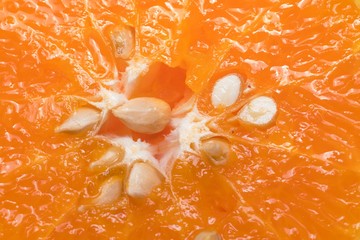 Sliced orange surface macro image ; Orange Texture, striped with seed close up background.
