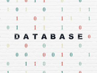 Software concept: Database on wall background