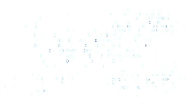 The computer code on white background. software concept