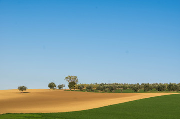 Minimalist countryside landscape © Davide Angelini