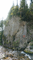 View of a Koscielisko Valley in polish Tatras Poland. - 123946546