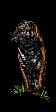 Bengal tiger