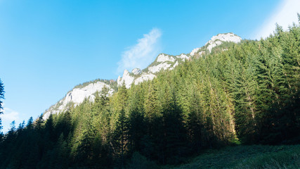 View of a Koscielisko Valley in polish Tatras Poland. - 123947385