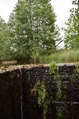 Fototapeta premium водопад