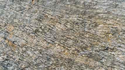 Gneiss Layered Texture. The layers and texture of this natural, Granite Gneiss make an edgy, yet earthy background for any project. - 123947960