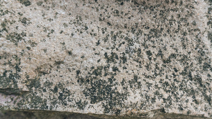 Stone texture background. Miekinia porphyry make an edgy, yet earthy background for any project. - 123948124