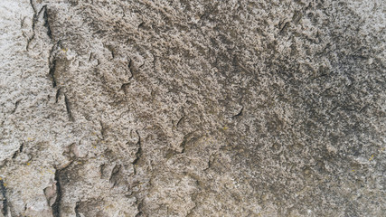 Stone texture background. Miekinia porphyry make an edgy, yet earthy background for any project. - 123948154