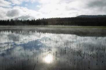  Great white pelicans swimming on Elk lake © estivillml