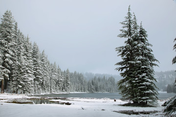Todd lake in a snowy day on June