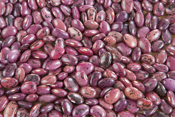 Pinto beans background, top view. (Phaseolus vulgaris)