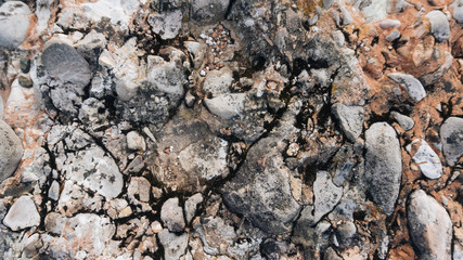 Myslachowice Conglomerate stone usable as texture or background - 123949324