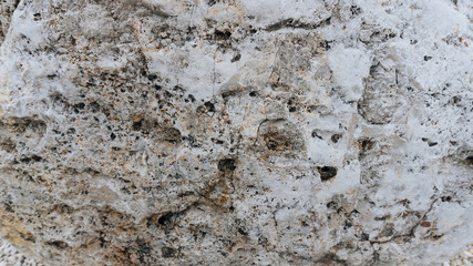 Upper limestone jurassic beige famous Jurassic marble. The texture of the natural stone particles ancient flora and fauna substituted calcite. Natural building materials Jura Gelb. - 123949387