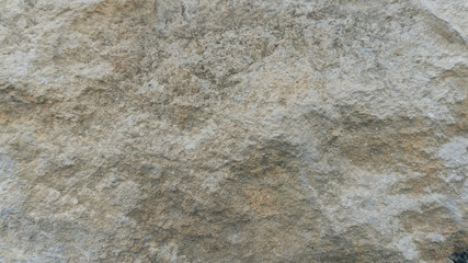 Pinczow limestone texture usable as texture or background - 123949581