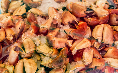 Seafood on ice at the fish market