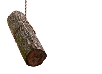 Fototapeta na wymiar stump hung in a chain on white background