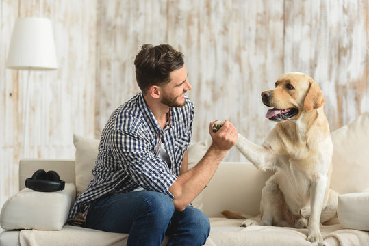 guy on the sofa holding paw of dog