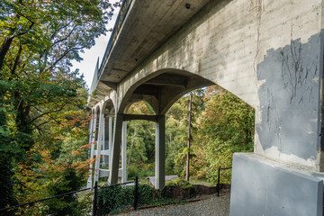 Bridge At Saltwater Park 5