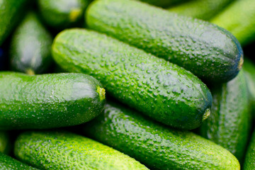 cucumbers 